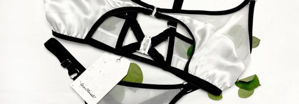 Photo of lingerie on white background surrounded by green leaves