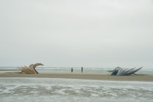 Image shows a wide pan shot of 2 dragons on either side of a beach looking at each other – one yellow and one blue. There are 2 people in the middle of the shot also facing each other. 