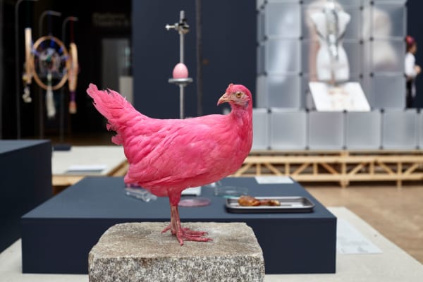 Linnea Våglund, Pink Chicken Project, 2018. Photo: Elaine Perks