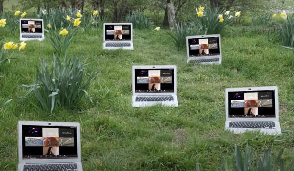 Laptops on the grass