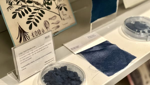 Photograph showing a section of a display featuring powdered indigo pigment, drawing and fabric swatches