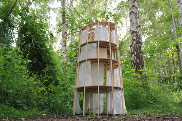 A small wooden structure made to look large in a forest through perspective