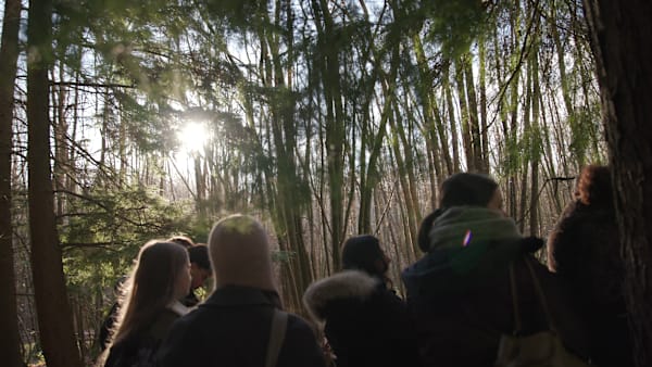 A photo showing students in a wood with the sun coming through the trees.
