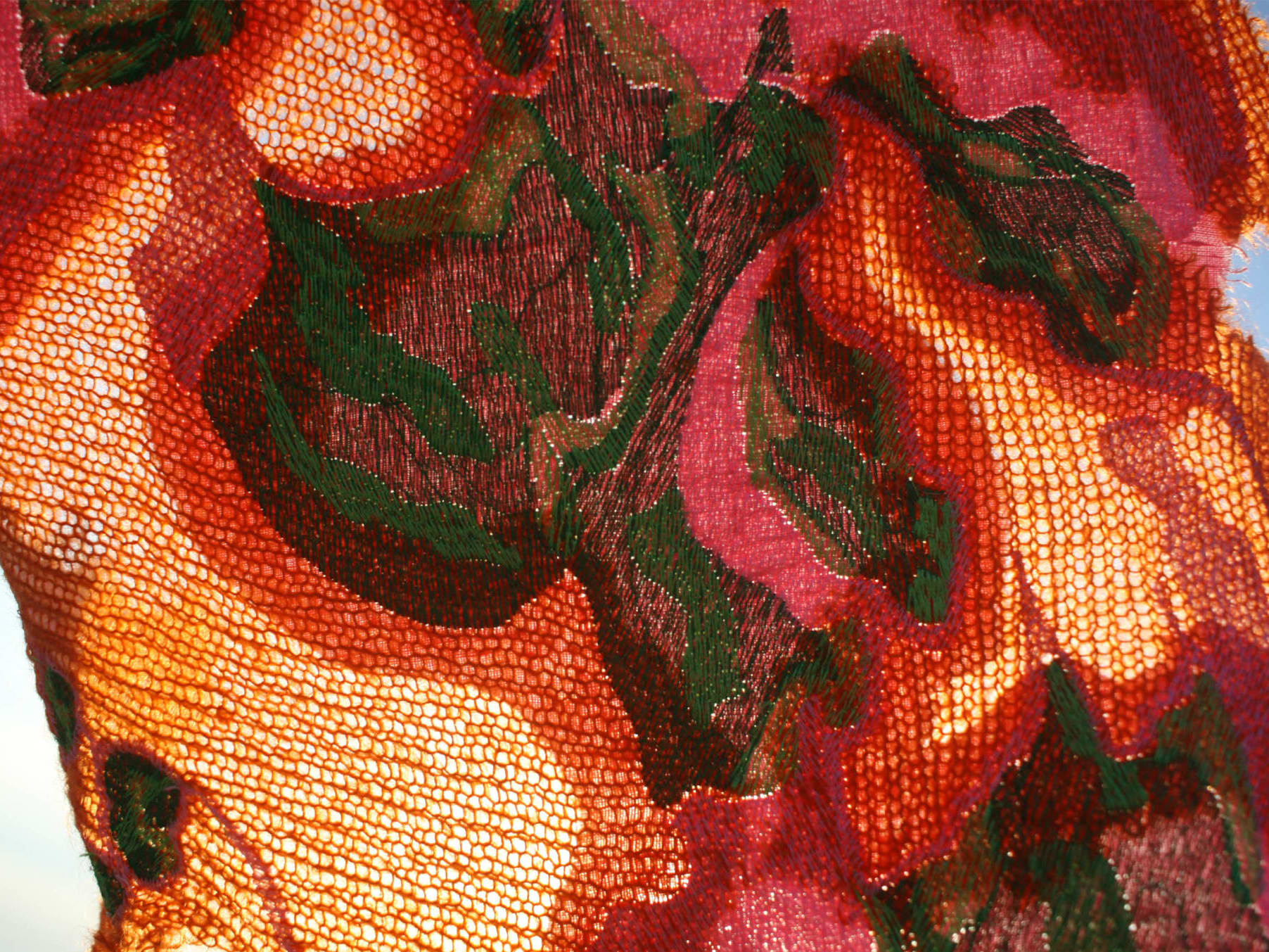Close up of red, patterned embroidery.