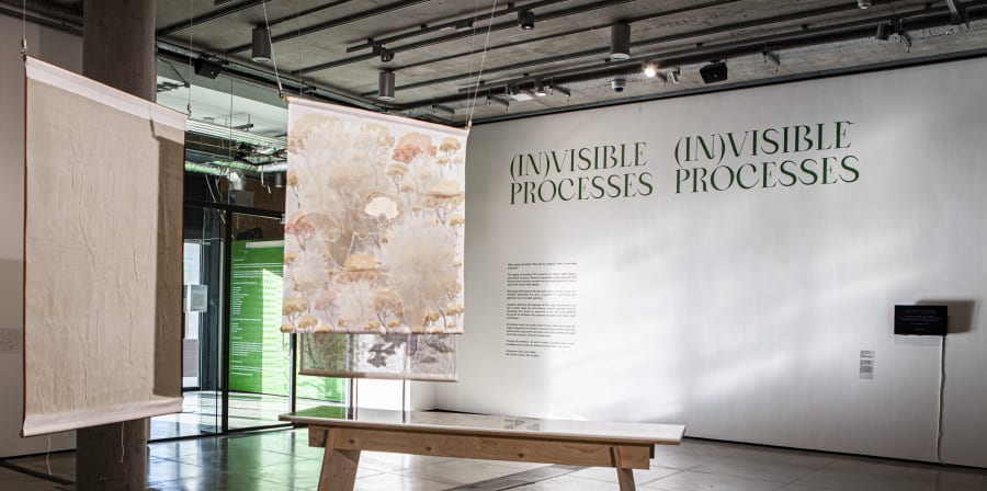 In(visible) Processes 6