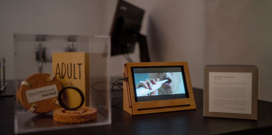 student work in Ars Electronica