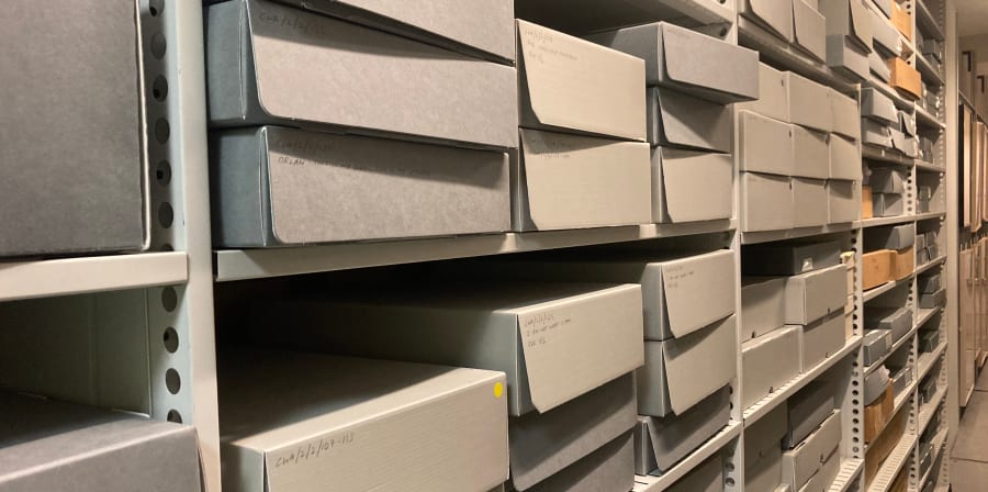 Rows of shelves with grey boxes on them, many with reference number beginning 'CWA' written on them in pencil.