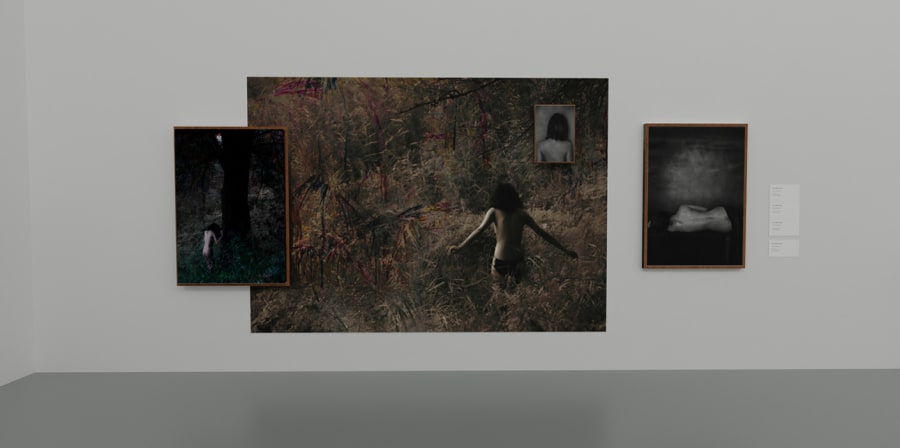 A Sketch-Up concept of an art space showing Kurt's work.
