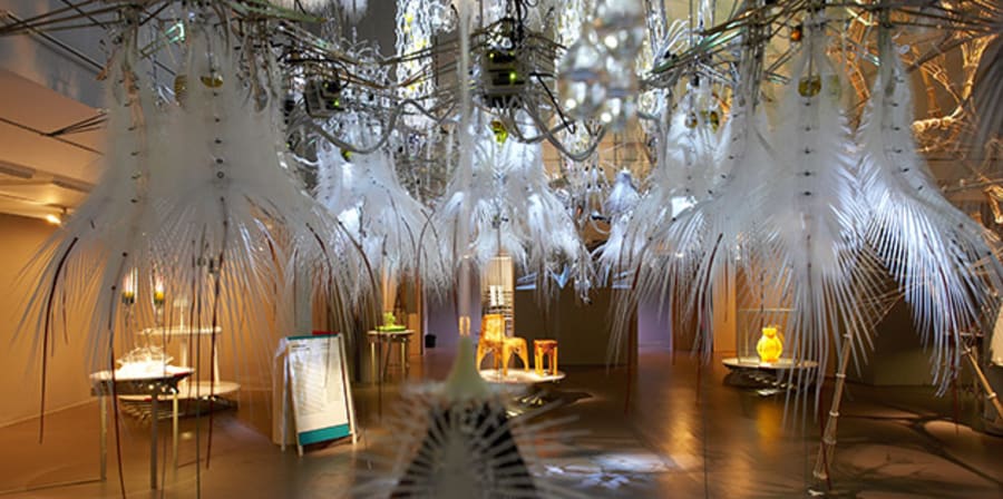 Large chandeliers with white feathers hanging from the ceiling