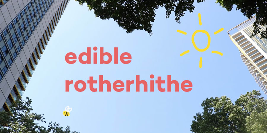 Image depicts a still from the Talent Works promotional film for Edible Rotherhithe, which features a blue sky and an animated bee.