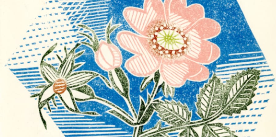 Linoleum print of pink flower on blue background