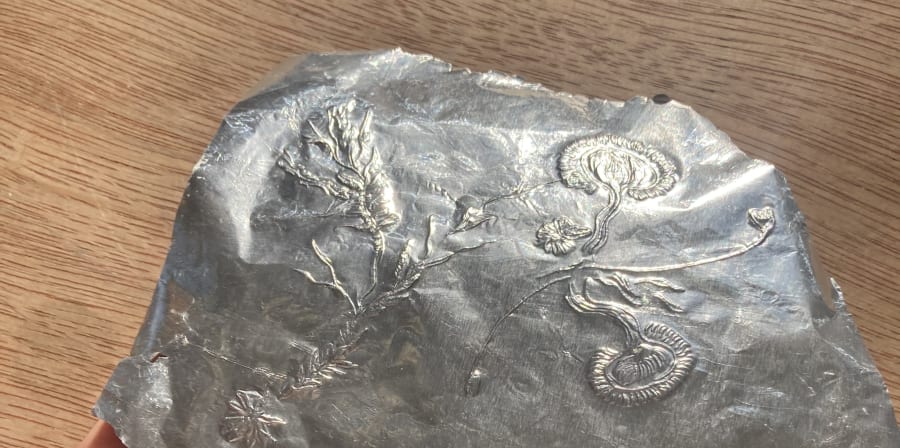 Foil drawing of sundew