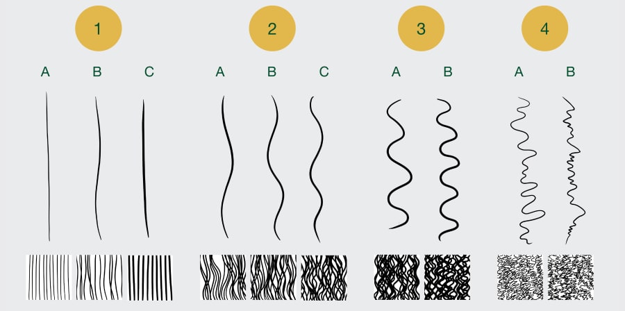 Human hair diversity illustration based on commonly used hair classification model.