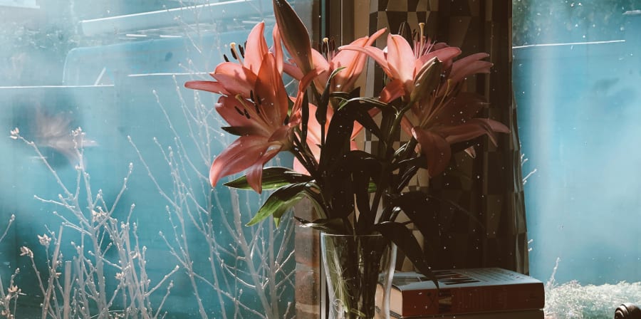 flowers in a vase on a windowsill