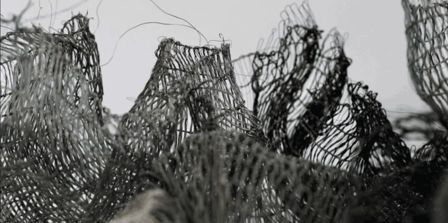 Photograph of meshed fabric creating a dystopian-looking environment.