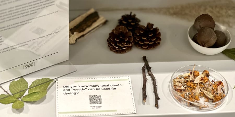 Photograph showing a section of a display featuring leaves, pine cones, dried flowers and seed pods.