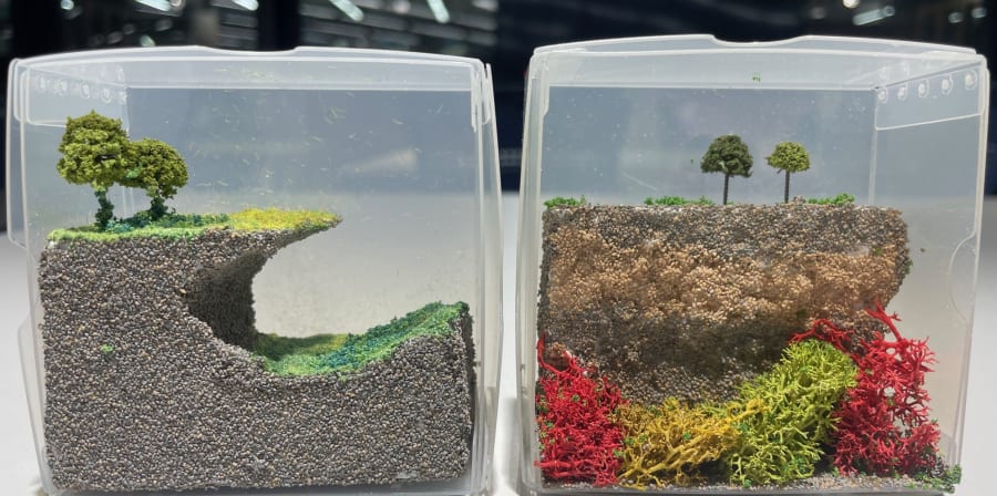 Colour photograph of two small clear plastic boxes resting on a table. Inside the boxes are small models of landscape scenes