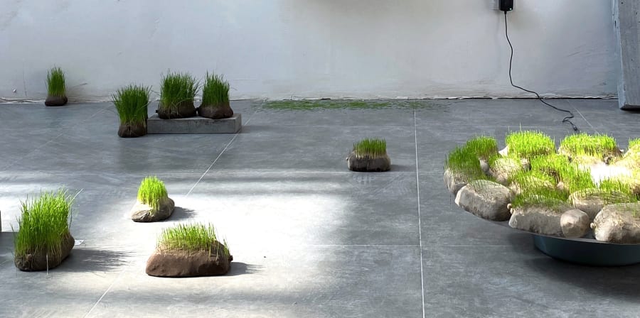 Grass sculptures on ground