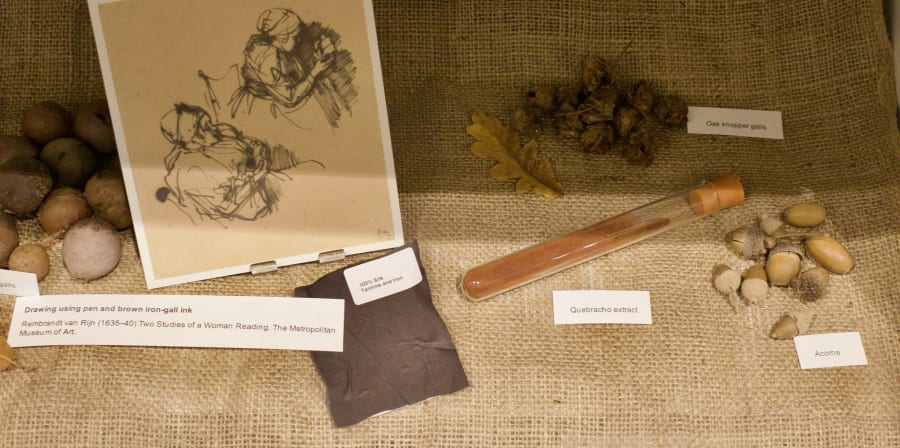 Photograph showing a section of a display featuring acorns and an illustration by Rembrandt van Rijn