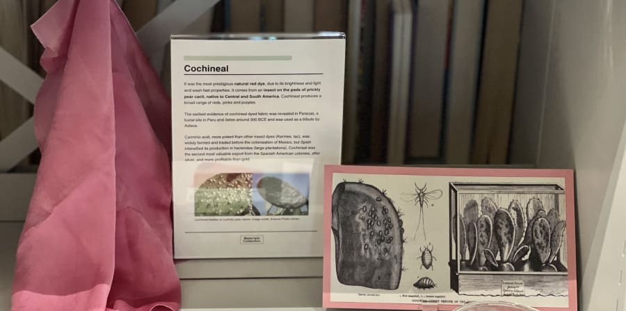 Photograph showing a section of a display featuring powdered red and pink fabric with illustrations of beetles and cacti 