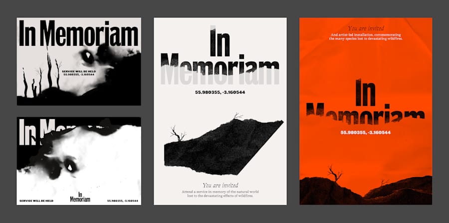 A Graphic Design MA student's work on loss of species.