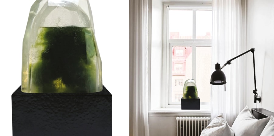 Image of Sarah Graham's algae air purification