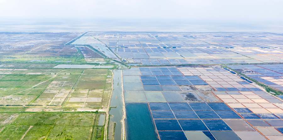 Aerial photography of a grid like land and seascape in China that is being intensely farmed
