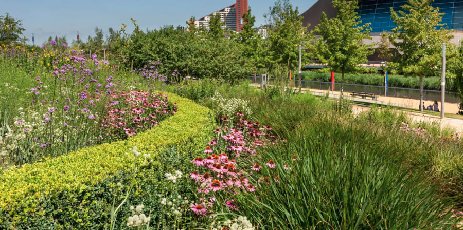 View of Queen Elizabeth Olympic Park with the London Aquatic Centre surrounded by green spaces. Image by Hargreaves Jones. 