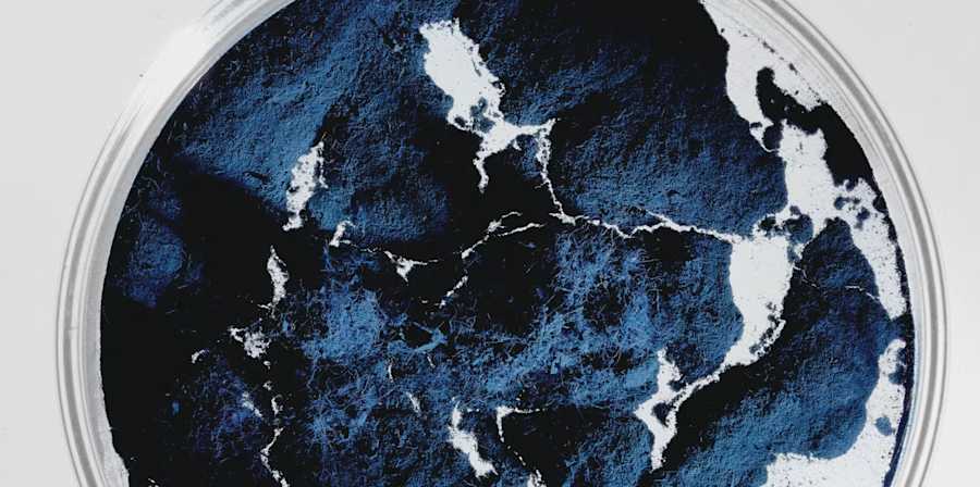 A petri dish holds blue and black pigments, forming abstract patterns reminiscent of Earth's view from space, with a moody, artistic tone.