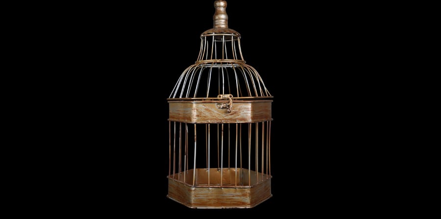 Bird cage