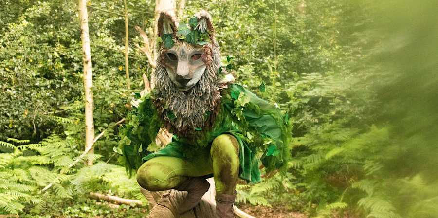 Person dressed as a wolf in a wood.