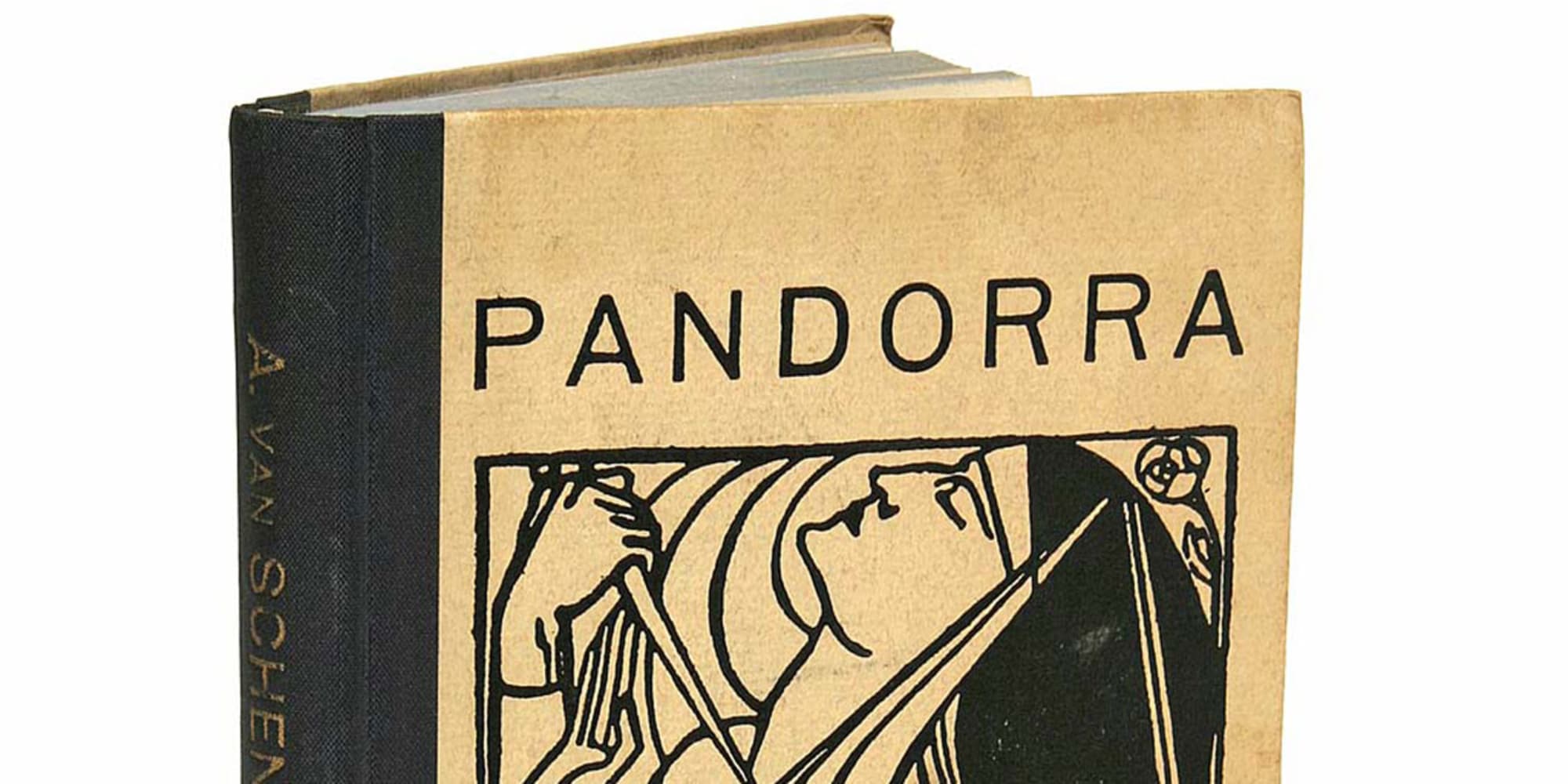 Photo of the front cover of a brown book with the word Pandorra written on it and drawing of a woman's head also visible