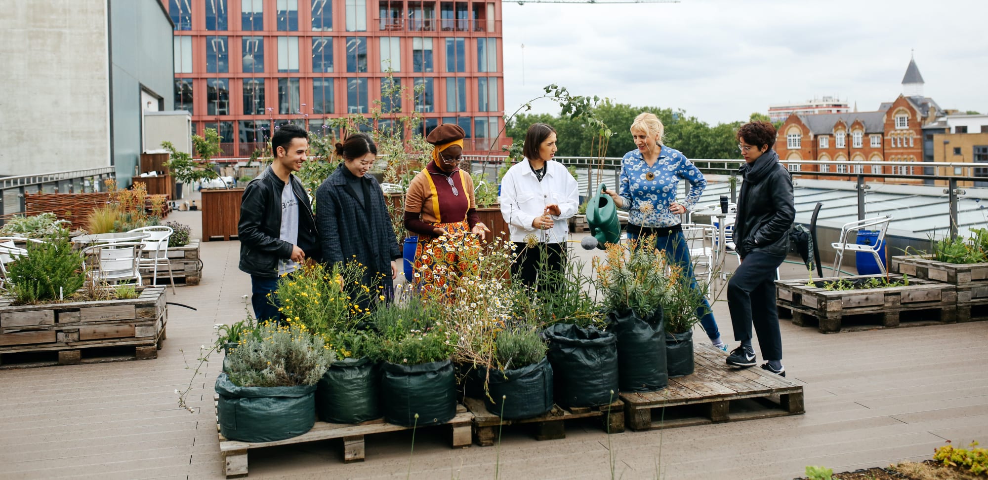 Alumni watering the flowers at the terrace garden, CSM