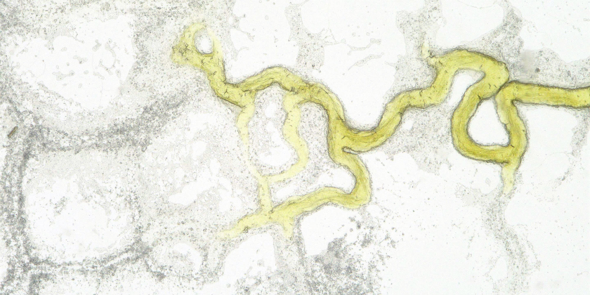 Close up image of particles in a lab