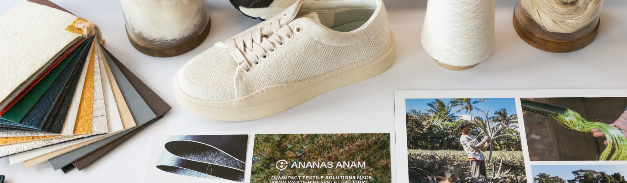 A photo of a shoe on top of a desk with research materials, such as photographs. 