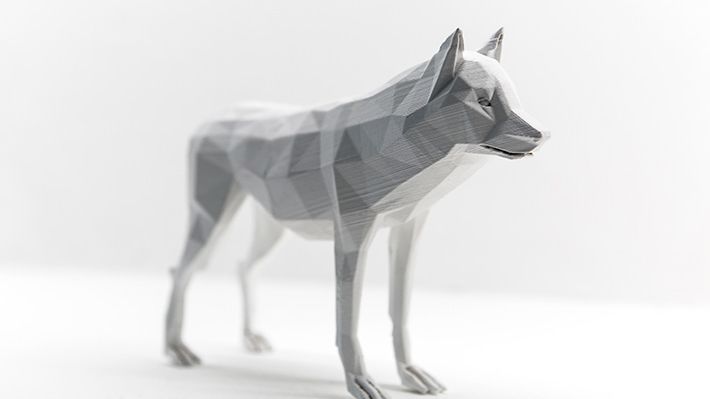 A 3D model of a wolf produced by an animation student.