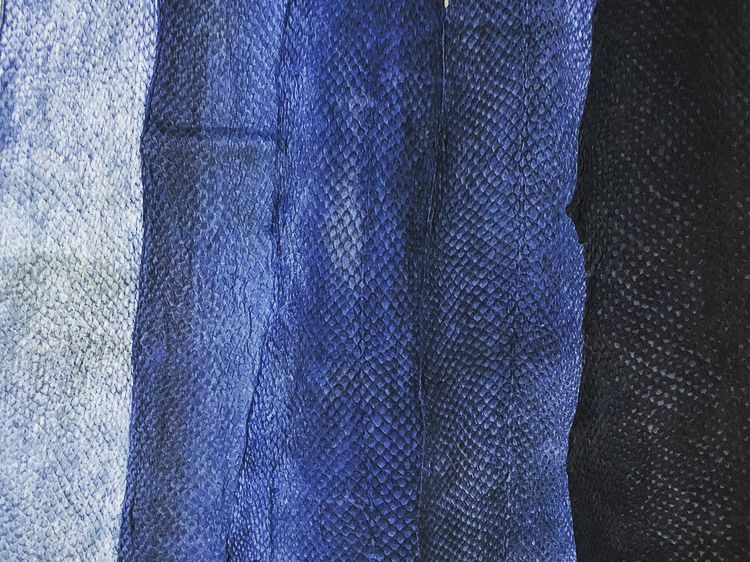 indigo dyed fish skin sample