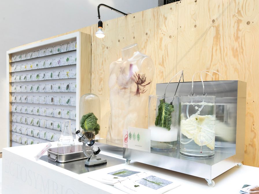 Scene showing scientific equipment and plants 
