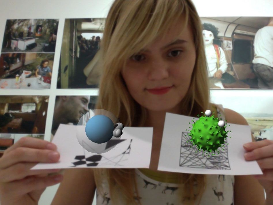 influenza and lymphocyte models