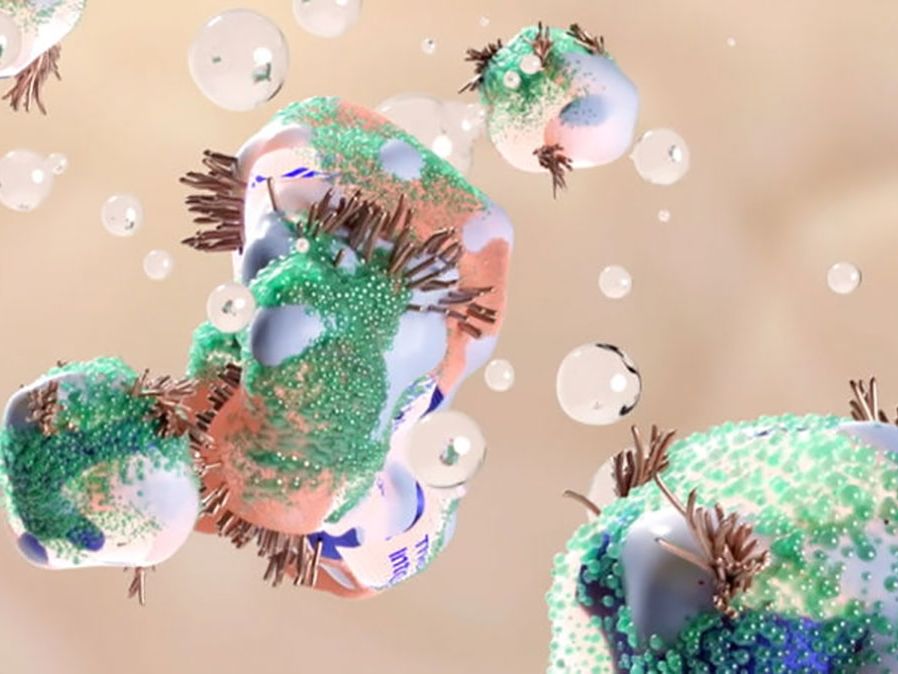 A promotional graphic of cell-like structures.
