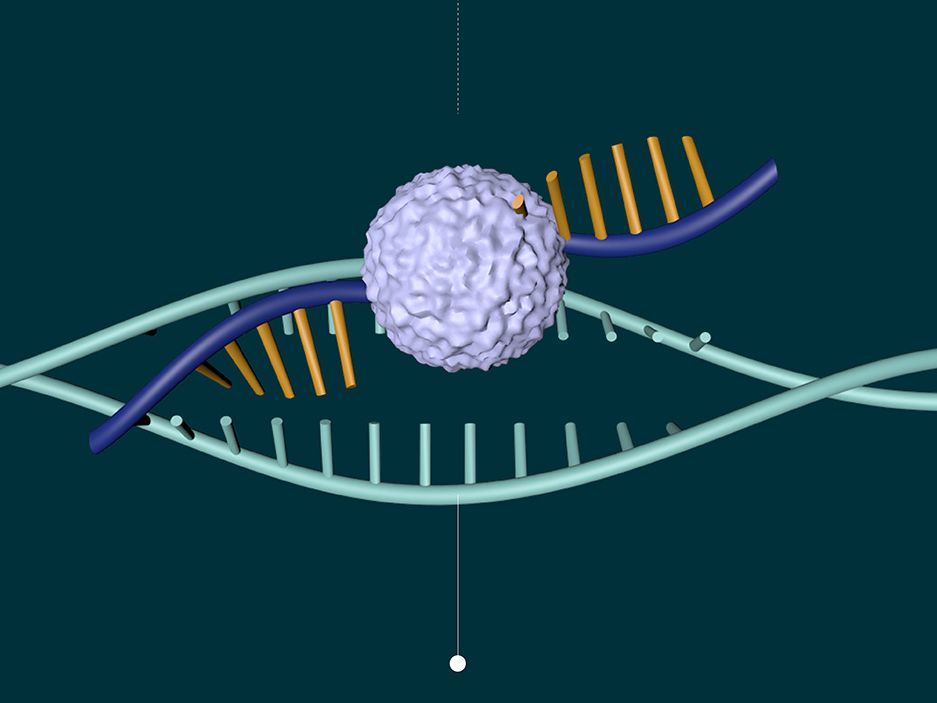 Image depicts a graphic of cells and RNA.