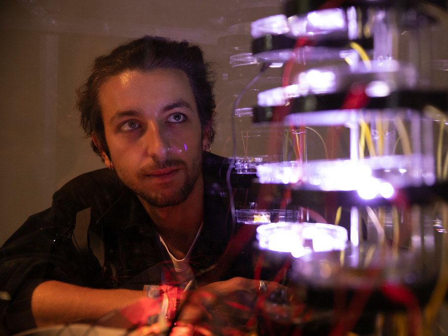 Michael Sedbon 