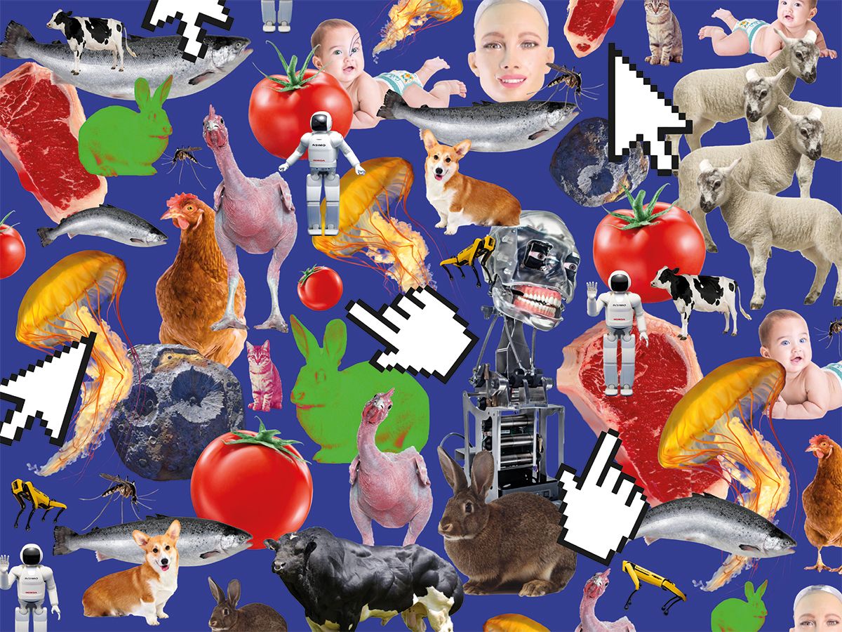 Graphic Design Work, UAL Shows