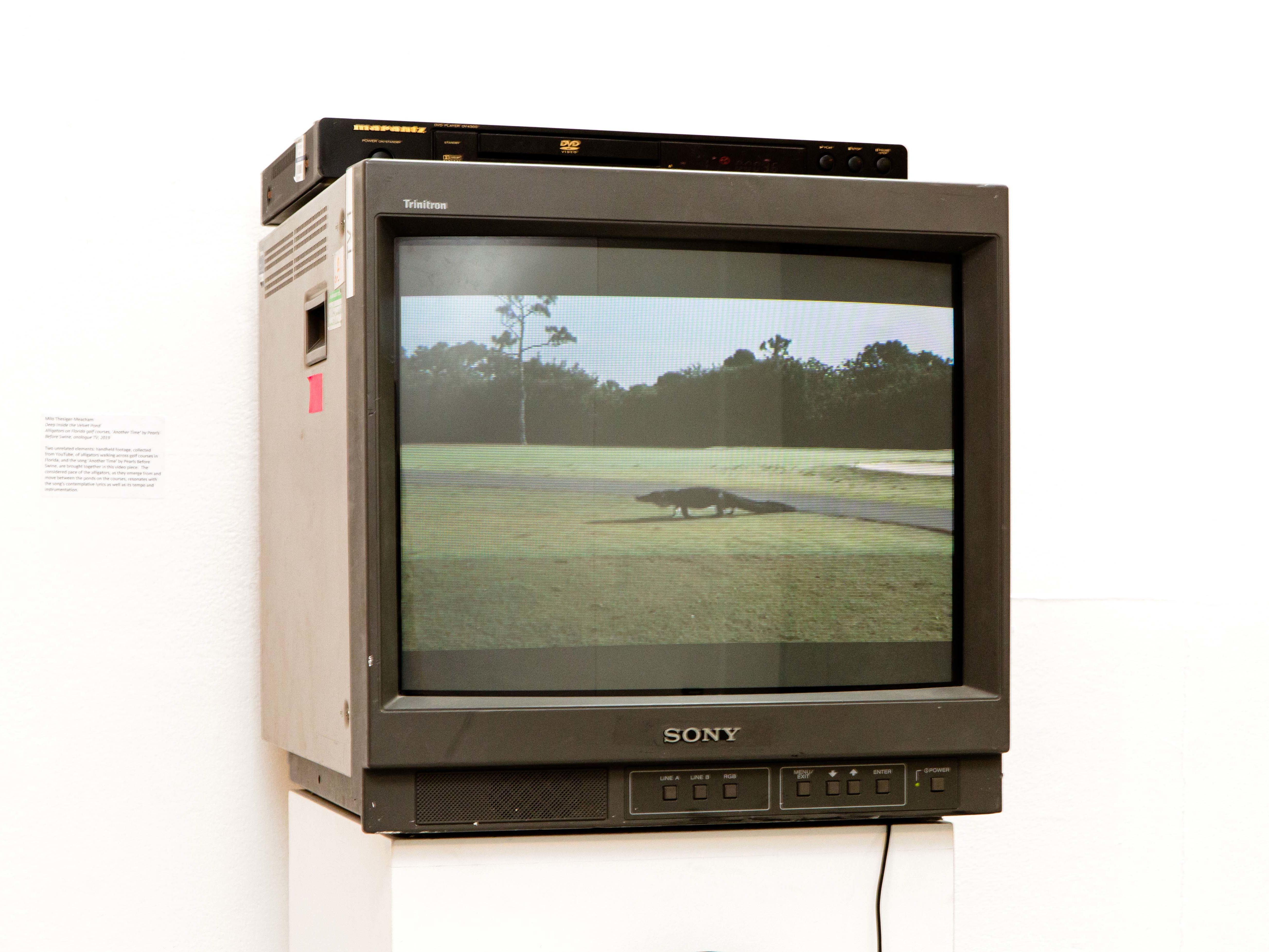 Milo Thesiger-Meacham student work as part of LCC Degree Shows 2019