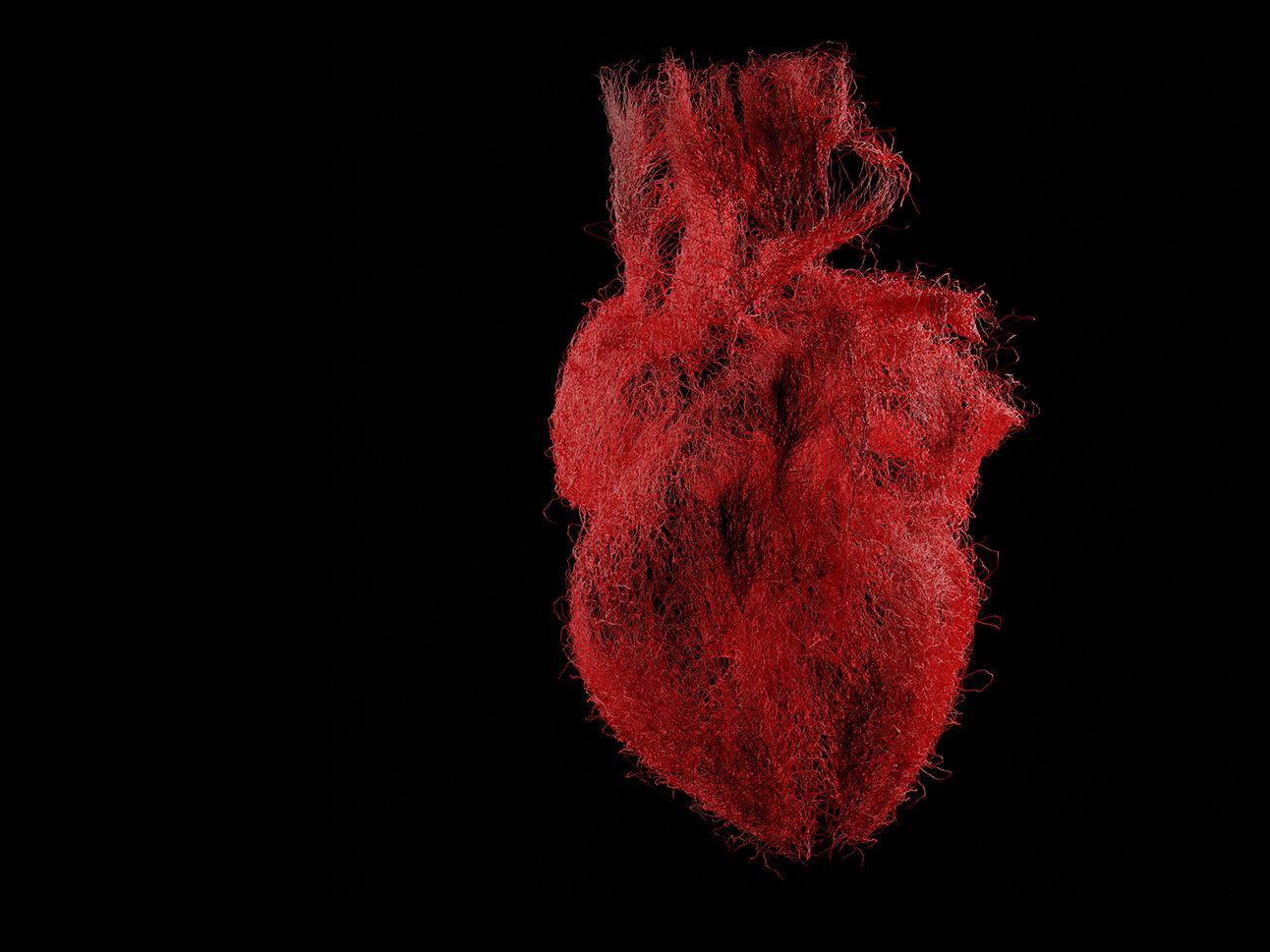A still of a moving graphic depicting a human heart.