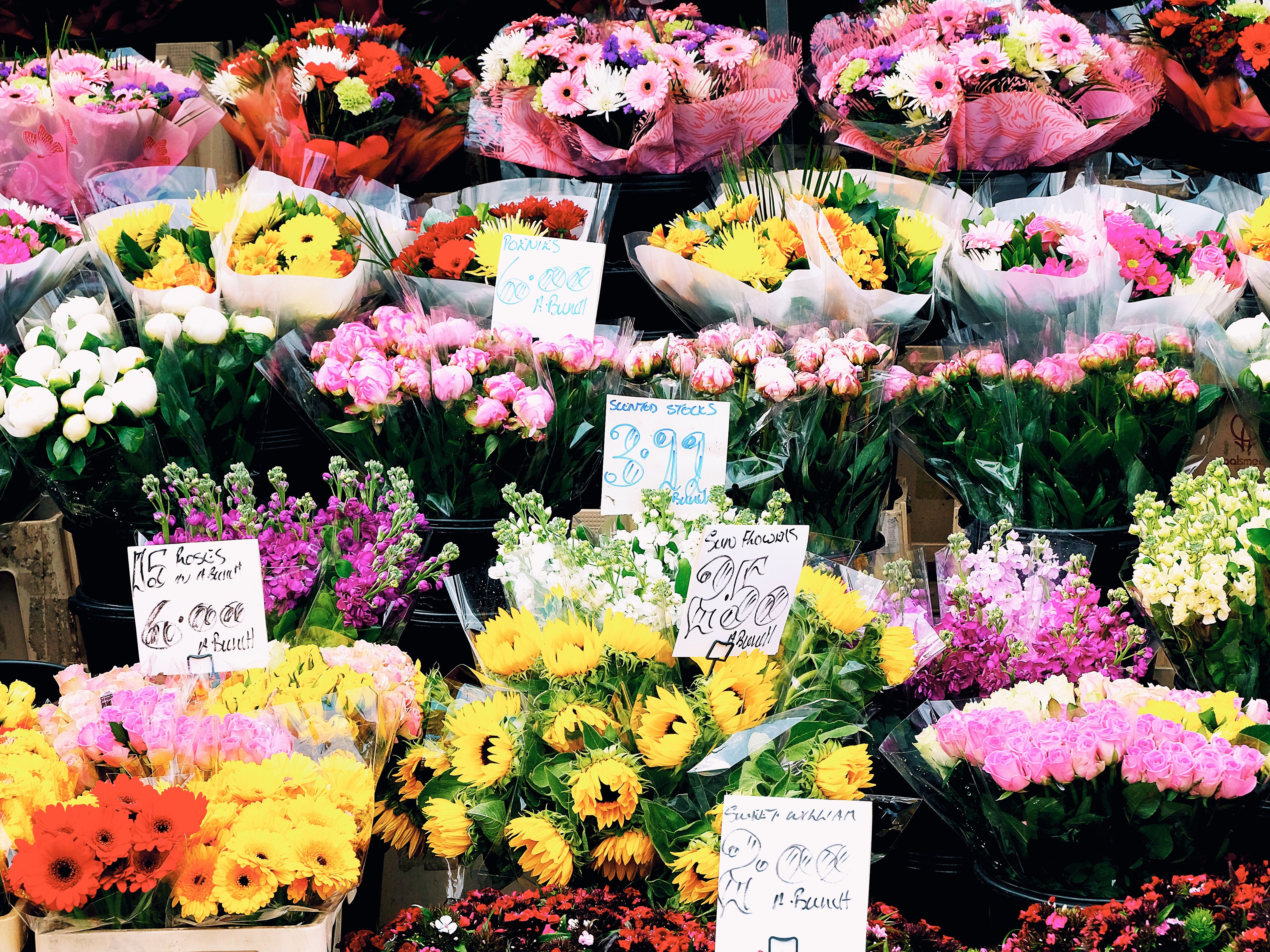Selection of flowers on sale near Wimbledon