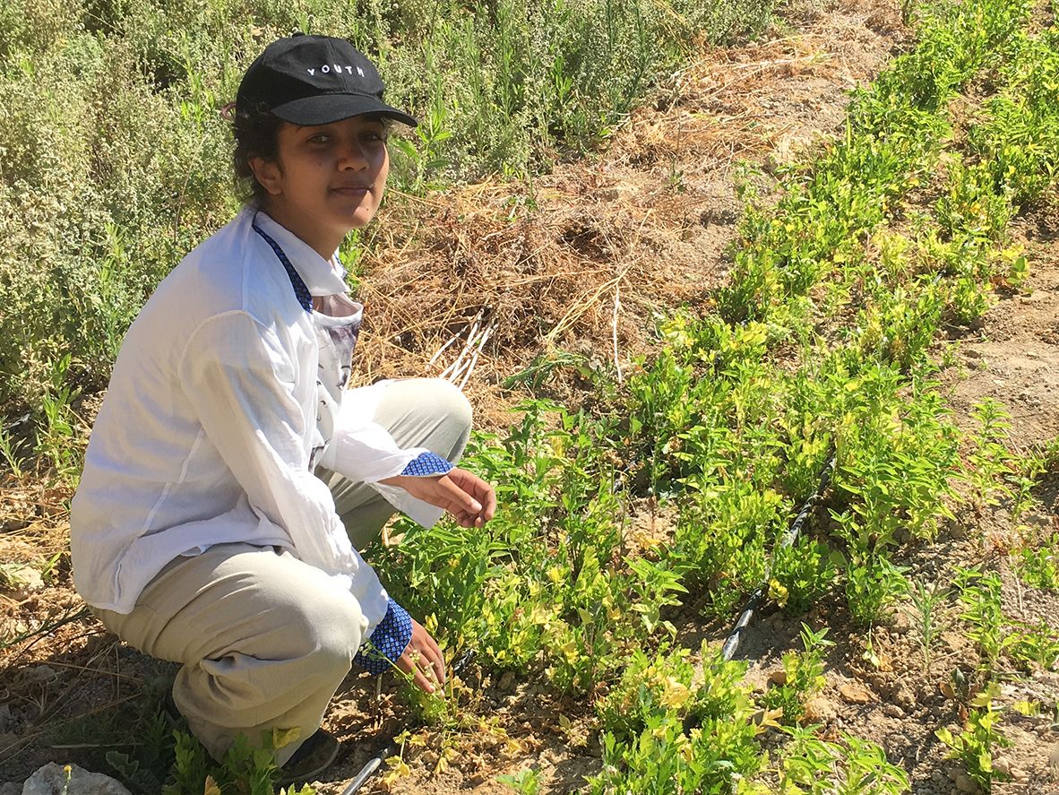 Mona Rathi sitting in a field in Jordan