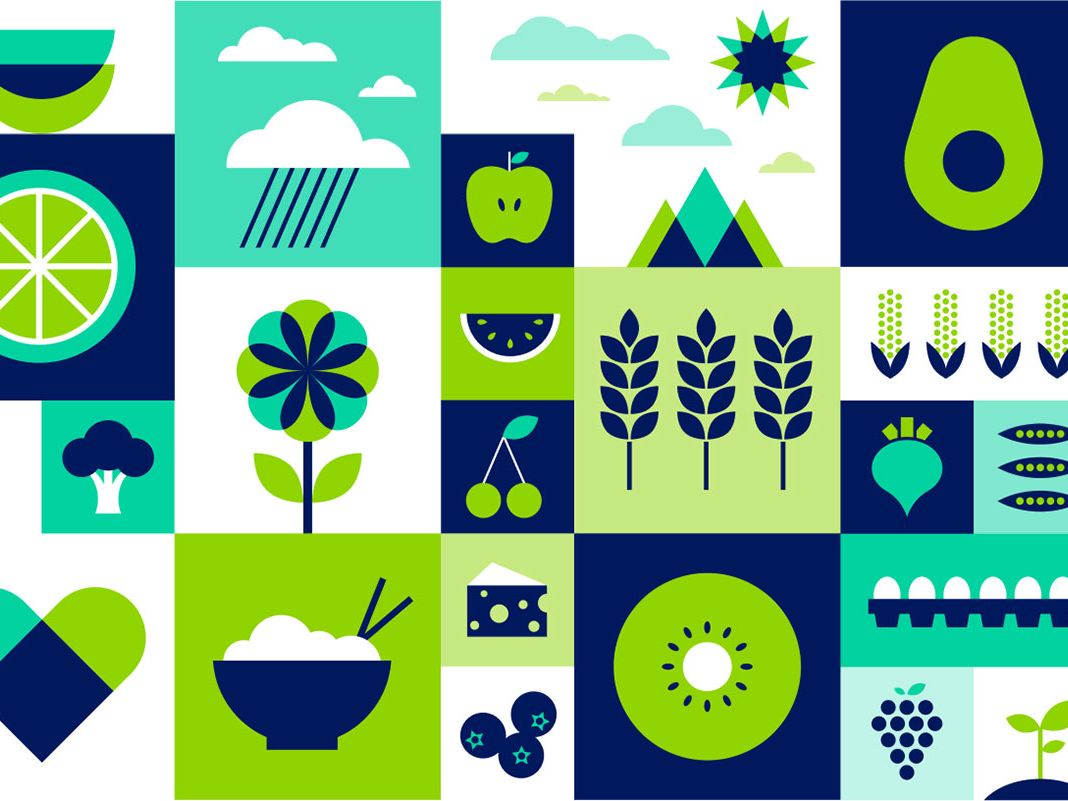 Image depicts a series of brightly coloured graphics around plants and food.