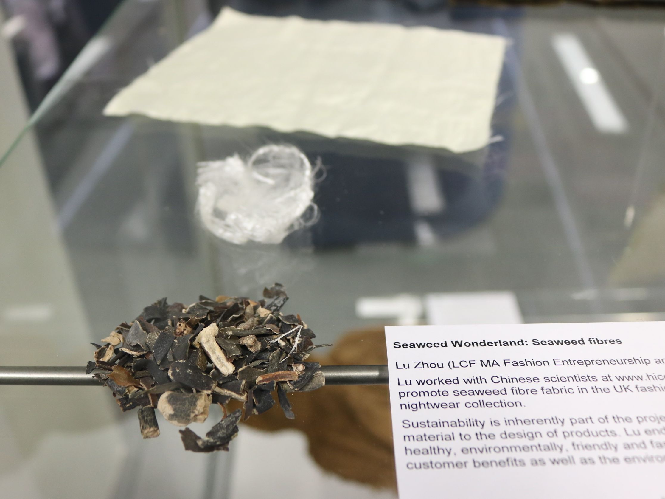 photograph of display cabinet contents and typed description