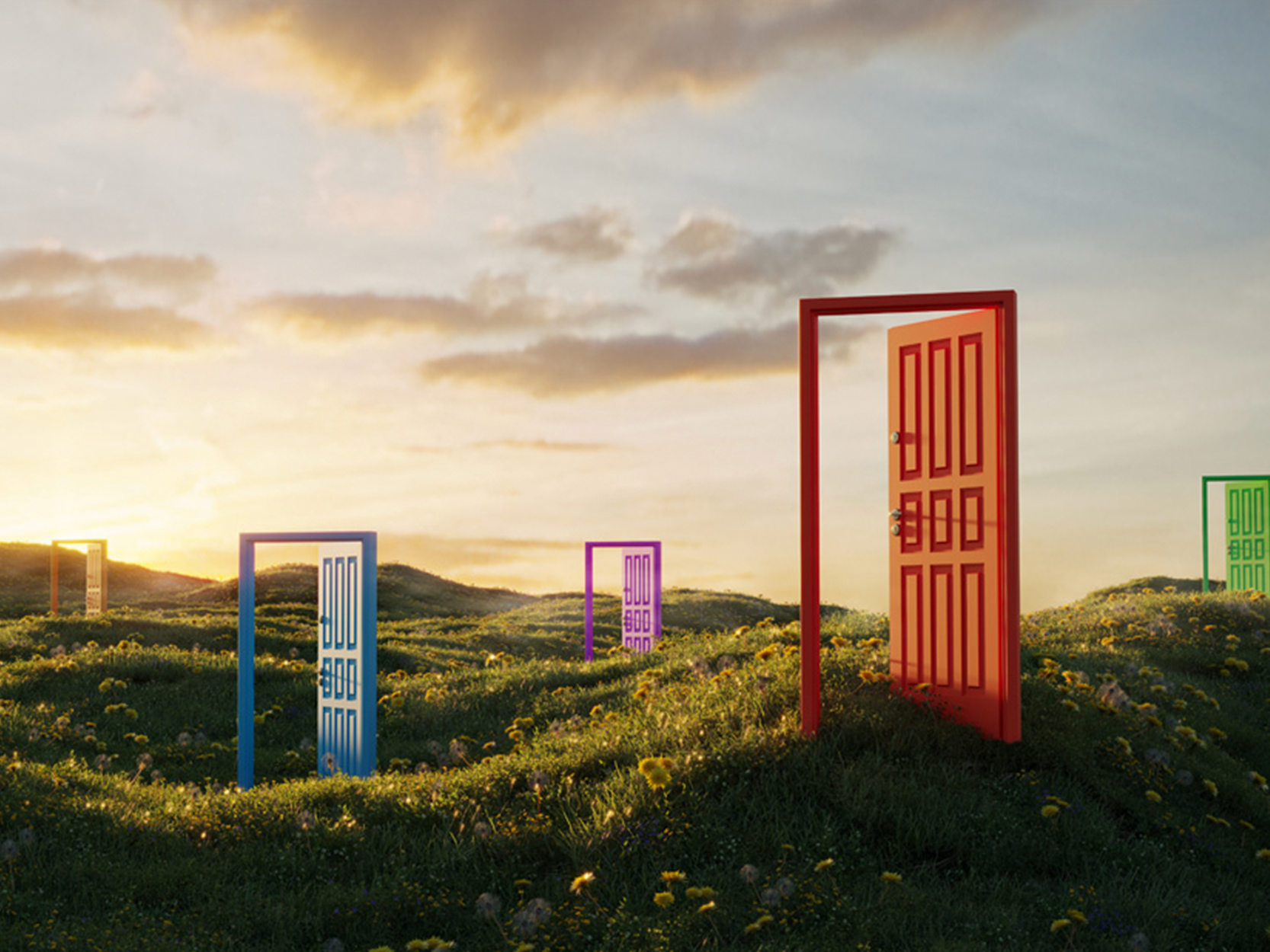  Choice-variation concept - stock photo Multi colored abstract opening doors on grassy field on sunny summer day.
